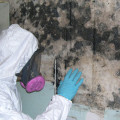 Building Dreams, Fixing Nightmares: Mold Remediation Services For Custom Home Builders In Houston, TX